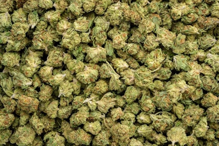 HSP - GMO COOKIES SMALLS