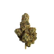 GMO | Indica