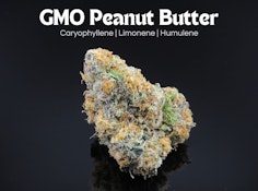 GMO Peanut Butter- 2.83 grams