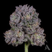 GMO x Rootbeer Flower T19.32% H 00362
