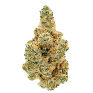 UMAMII - GMO | Flower | 3.5g | Umamii