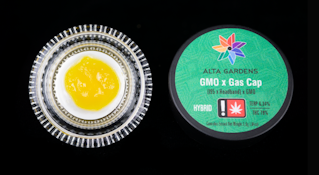 GMO Gas Cap, Cured Resin