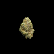 THC | GMO