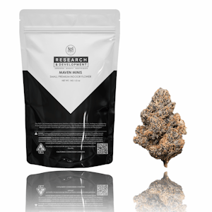 MAVEN GENETICS - Maven Genetics | Indoor | Minis | Goji Berry Runtz x Ube Creme #4 | 14g