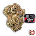 Gold Cash Gold Flower | Quarter Special