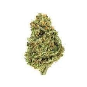 FLO - GOLDEN TIGER 1/4oz