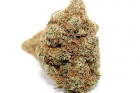 Granny Farm - GF | Gorilla Cookies