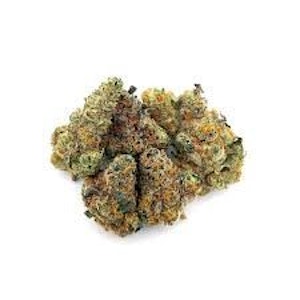 FLO - GOVERNMINT OASIS 1/4oz