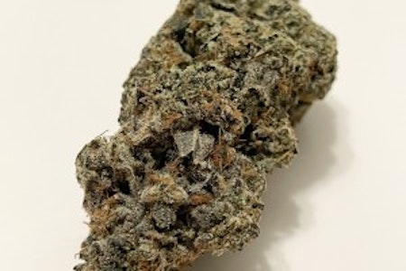 GOGI - GOGI | Grandi Guava