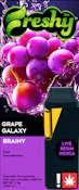 Freshy | Disp Favored 1g [H] | Grape Galaxy