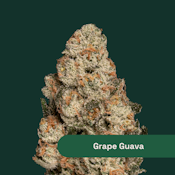 The Botanist | Flower | Grape Guava | 3.5g