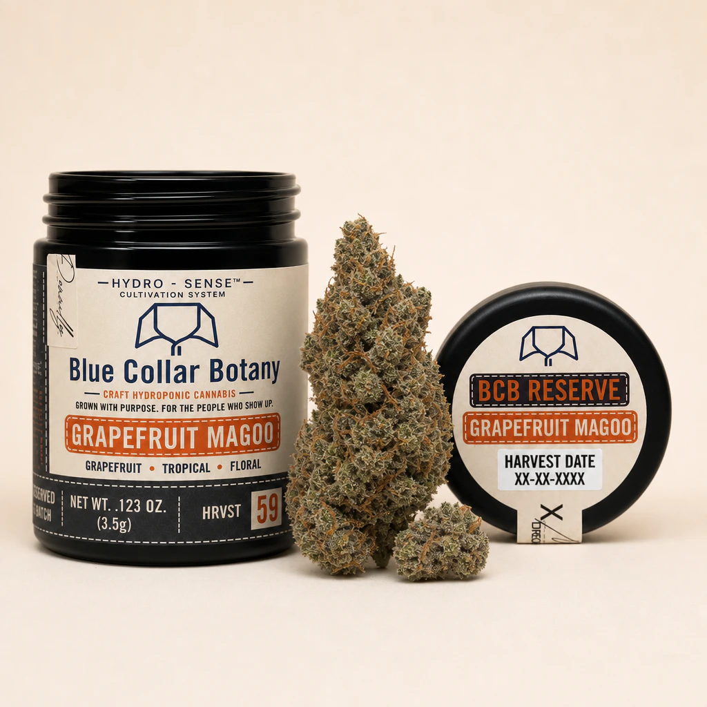 Blue Collar Botany - Grapefruit Magoo - 3.5g - Blue Collar Botany Main Image