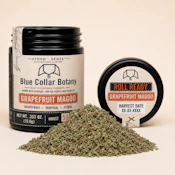 Grapefruit Magoo - 10g Preground - Blue Collar Botany