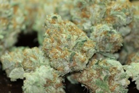 Goodlyfe Farms - Goodlyfe Farms | Grass Valley Girl