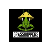 Sativa Infused (1g) by Grasshoppers