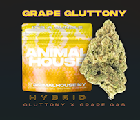 Grape Gluttony | Flower | 3.5g (Animal House)