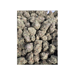 GOLDEN STATE CANNABIS - Cheeta Piss (I) | 3.5g Premium Flower | Golden State Cannabis