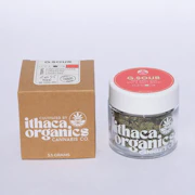 Ithaca Organics - Grapefruit Sour - Flower - 3.5g