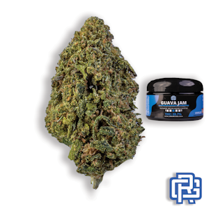 OREGON CANNABIS COLLECTIVE - Guava Jam Flower | Quarter Special