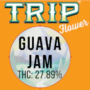 TRIP - GUAVA JAM 3.5 GRAMS