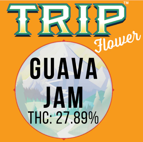 TRIP - TRIP - GUAVA JAM 3.5 GRAMS Main Image