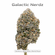 True Genetics - Galactic Nerdz - 3.5g