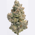 Northern Star - Galatic Glaze Indoor Flower 3.5g
