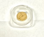 Bodega Bros - Galactic Grapefruit Cold Cure Rosin 1g