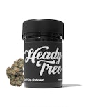 Heady Tree - Galactic Warhead - 3.5g - Flower