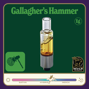 MULE EXTRACTS - Gallaghers Hammer, Live Resin, 1g