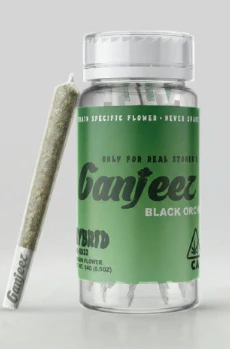 Ganjeez - GANJEEZ - Black Orchid - PR Pack - (H) 14G Main Image