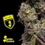 [REC] Garden Greens | ICC x LPC | 3.5g Flower