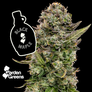 GARDEN GREENS - [REC] Garden Greens | Black Maple | 2.5g/5pk Preroll