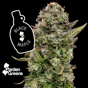 GARDEN GREENS - [REC] Garden Greens Preroll | Black Maple | 1g/2pk