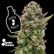 [REC] Garden Greens | Black Maple | 7g Big Bud