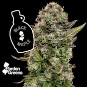 [REC] Garden Greens | Black Maple | 3.5g Flower