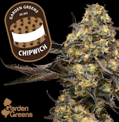 [REC] Garden Greens | Chipwich | 7g Big Buds