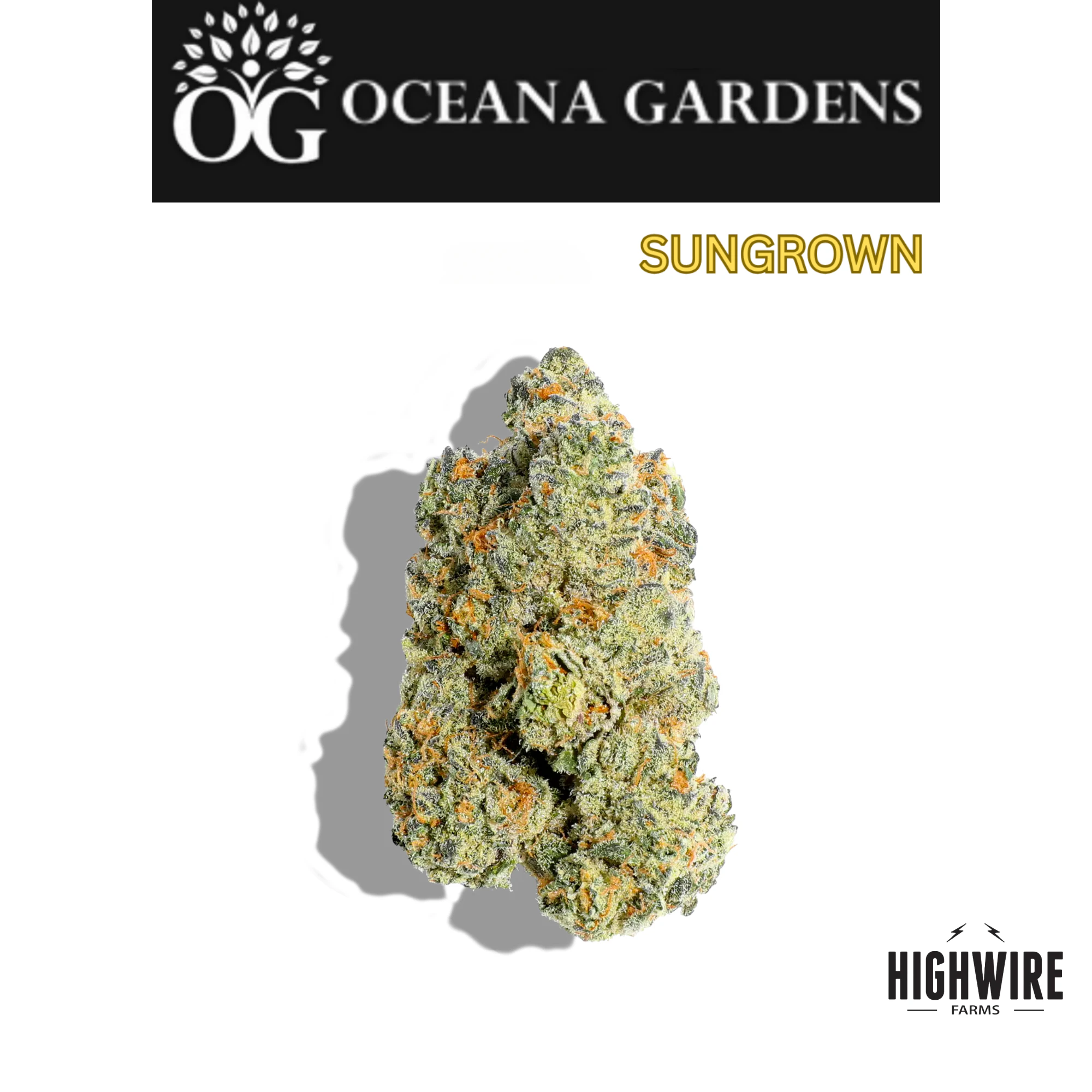 Oceana Gardens - Garlic Budder OZ Main Image