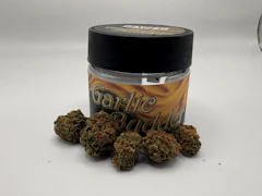 Dayzed | Garlic Budder | 3.5g