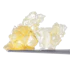 Product Preview Image 2