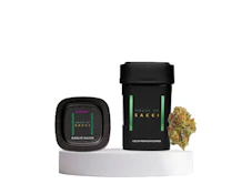Garlic Sauce | Flower | 28g | House of Sacci