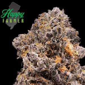 Happy Farmer - Happy Farmer | Garlic Sherb | 3.5g