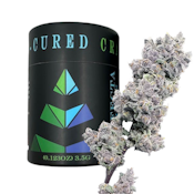 Garlic Sherbert x Twisted Ice Cream - 3.5g - Trifecta Farms