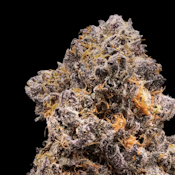 [REC] The Happy Farmer | Garlic Sherb | 3.5g Flower