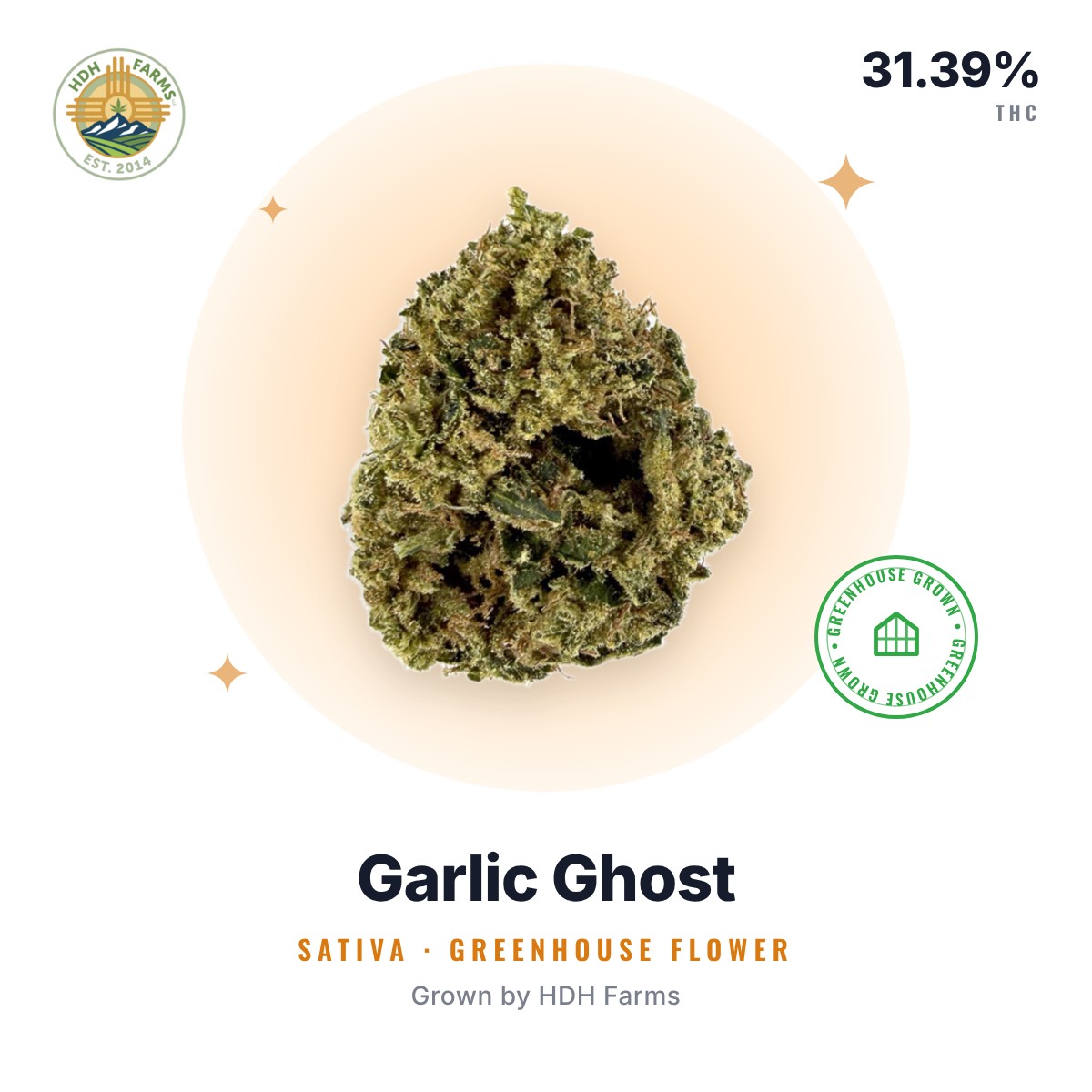 Garlic Ghost flower