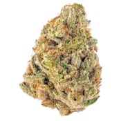 Garlicane | Flower | 14g