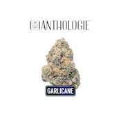 Anthologie Garlicane Flower 3.5g