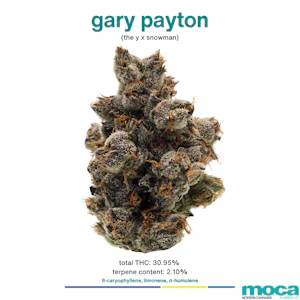 MOCA Flowers - MOCA Flowers - 1/8th Mylar Bag - Gary Payton