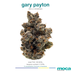 MOCA Flowers - MOCA Flowers - 1/8th Jar - Gary Payton