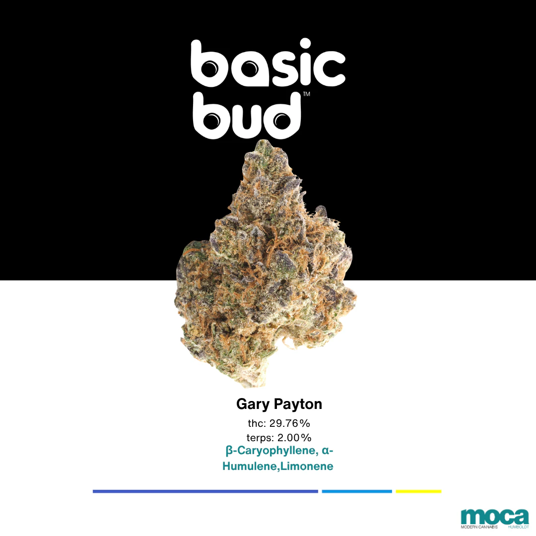 Basic Bud - Basic Bud - 1oz Indoor - Gary Payton Main Image